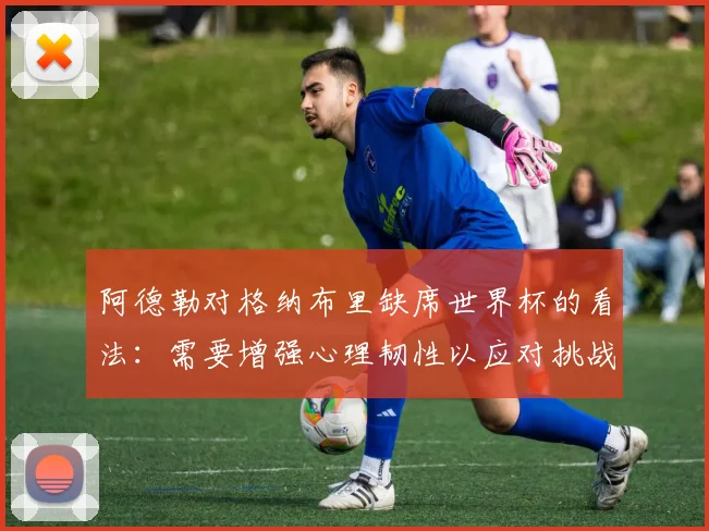 阿德勒对格纳布里缺席世界杯的看法:需要增强心理韧性以应对挑战