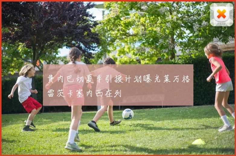 费内巴切夏季引援计划曝光莱万格雷茨卡塞内西在列