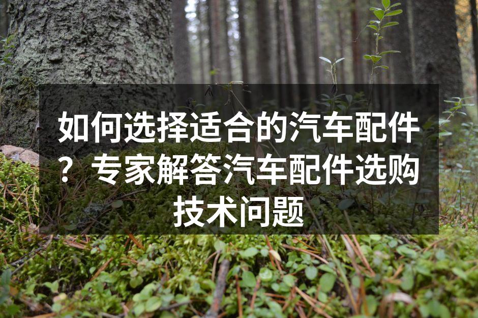 汽车配件多样化选择